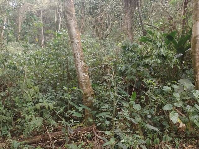 #895 - Terreno para Venda em Mairiporã - SP